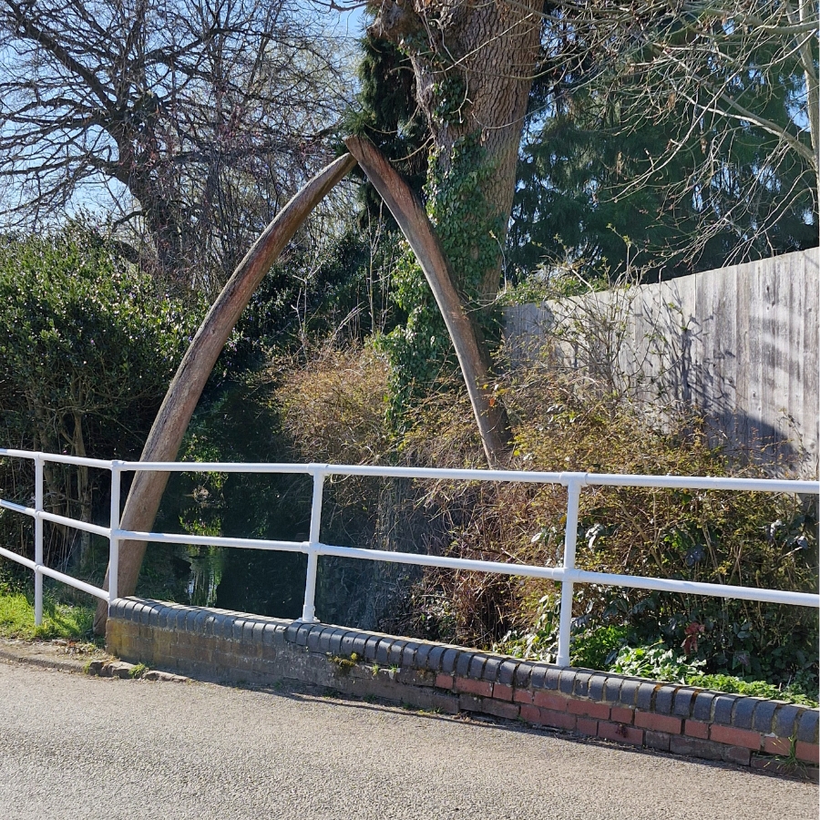 Whaebones whalebones