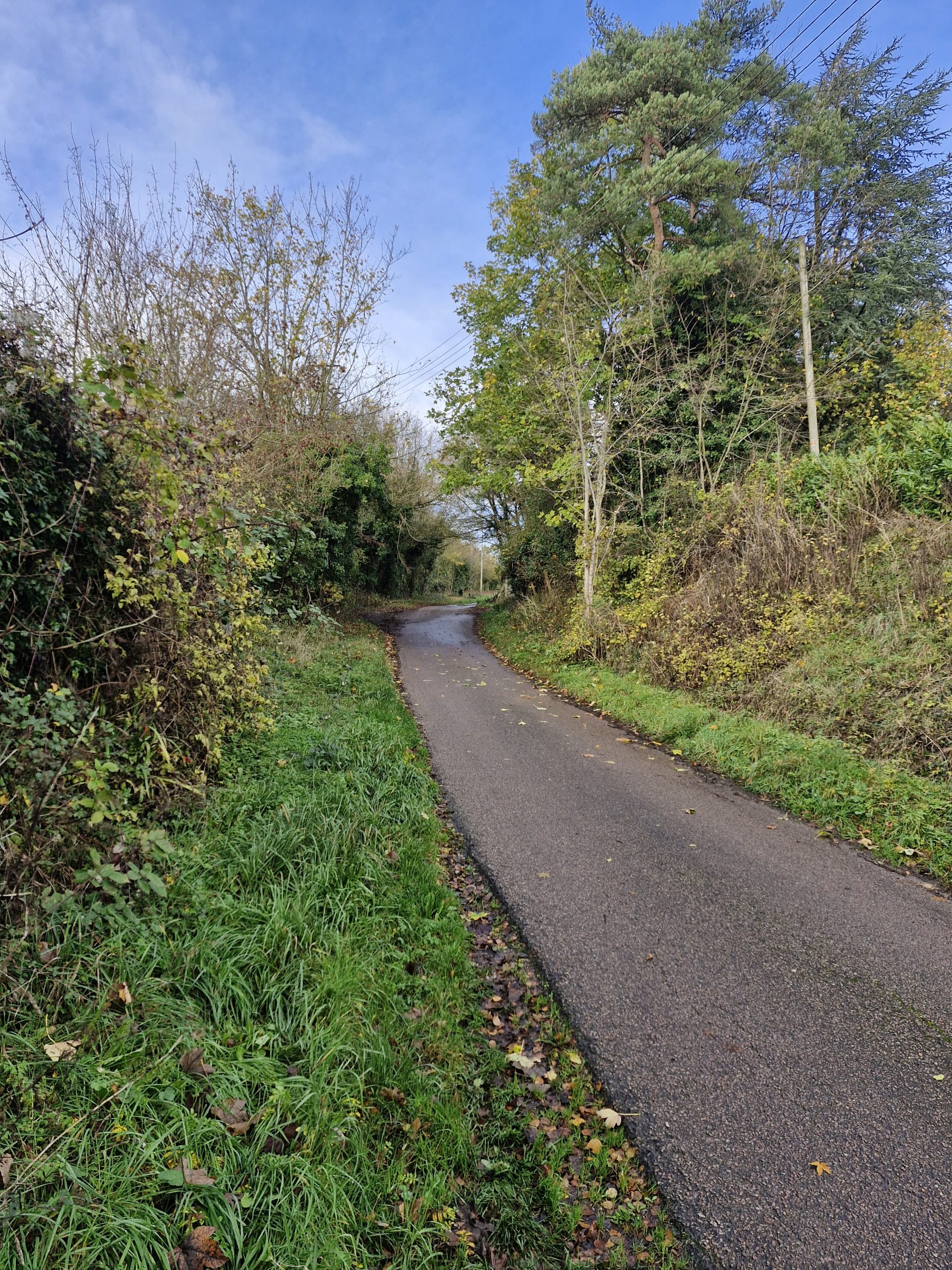 view looking up school road
